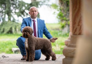 Europen Dog Show 2022.