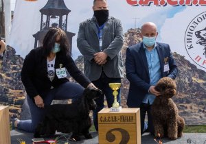 Dog Show Prilep 2021