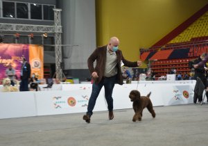 Dog Show Skoplje 2021