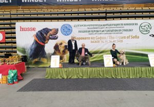 Dog Show Sofia Bugarska 2020