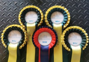 Dog Show San Marino 2021