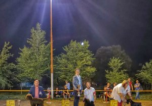 Dog Show Velika Greda 2021