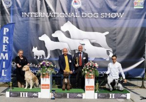 Dog Show Leskovac 2022.