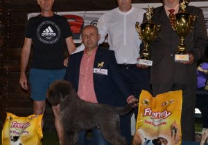Dog Show Merosina 2021.